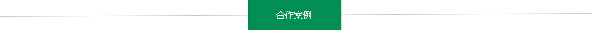 公司簡介